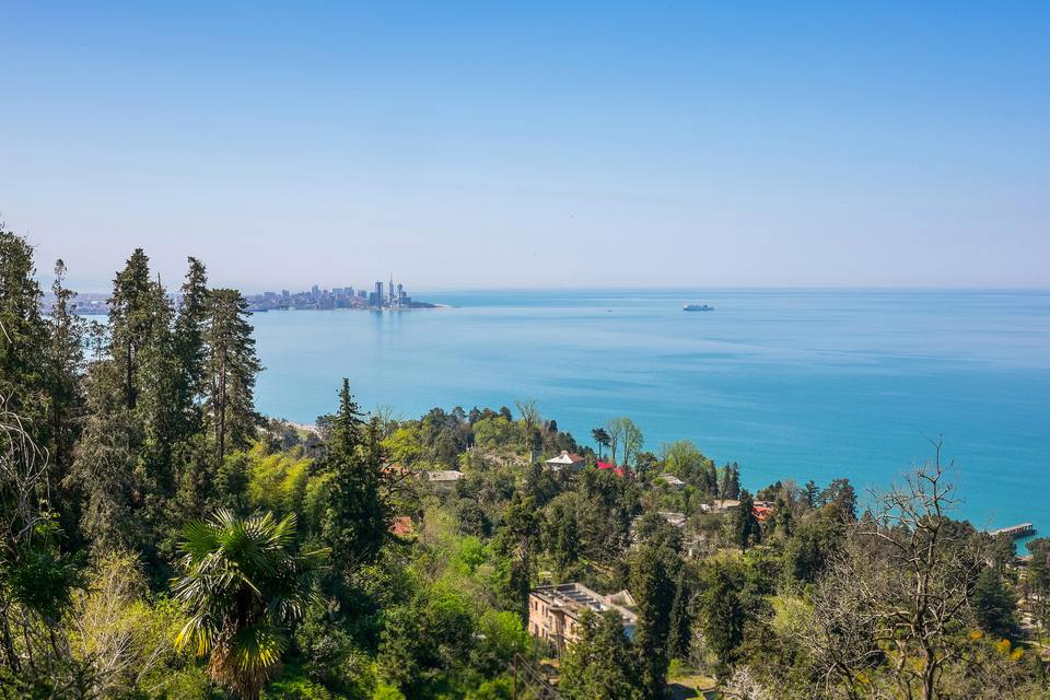 View from the green headland of Mtsvane Kontskhi near Batumi Botanical Garden: subtropical trees, a palm and red-roofed houses above the turquoise Black Sea, with Batumi a faint outline on the horizon under a clear blue sky